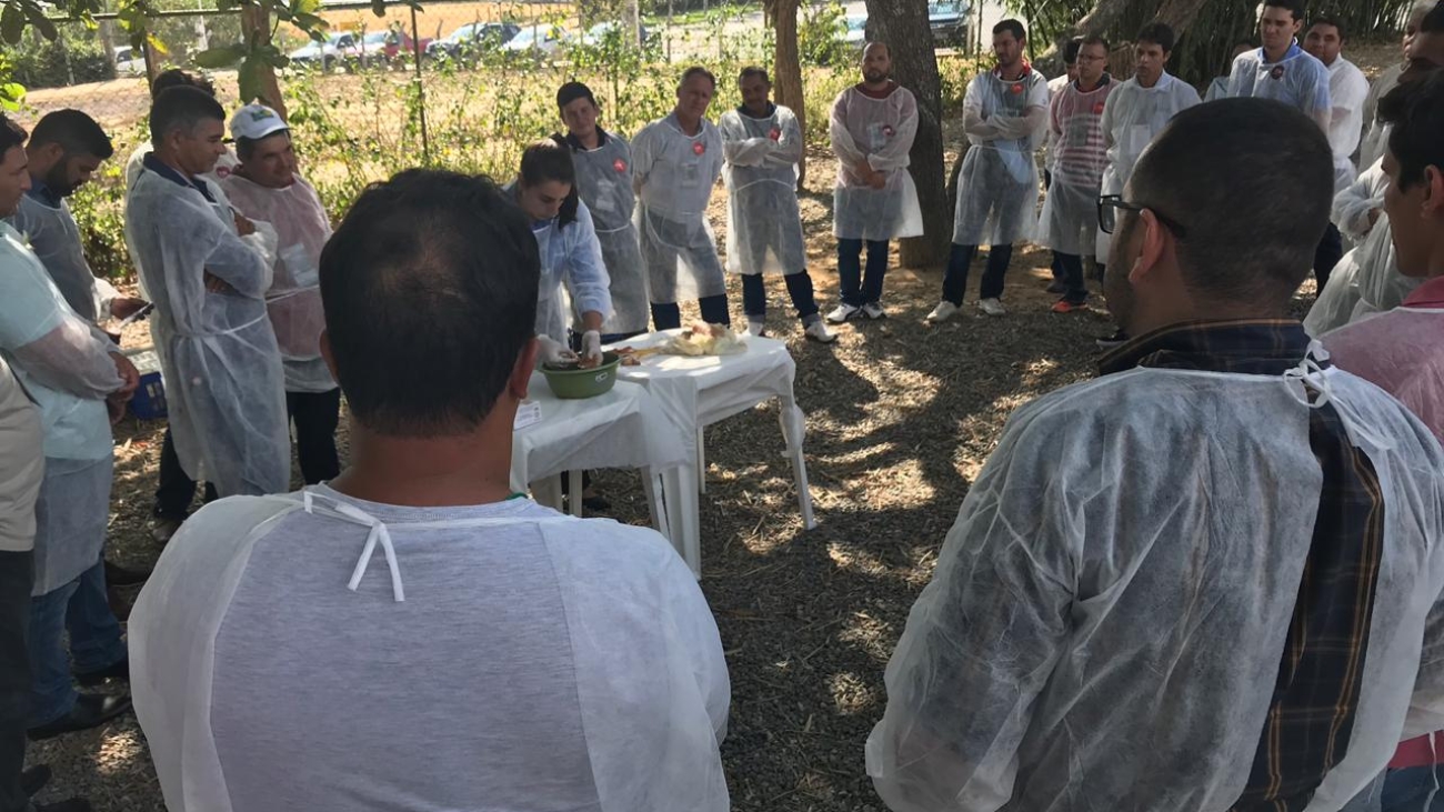 curso-epe2018 (13)