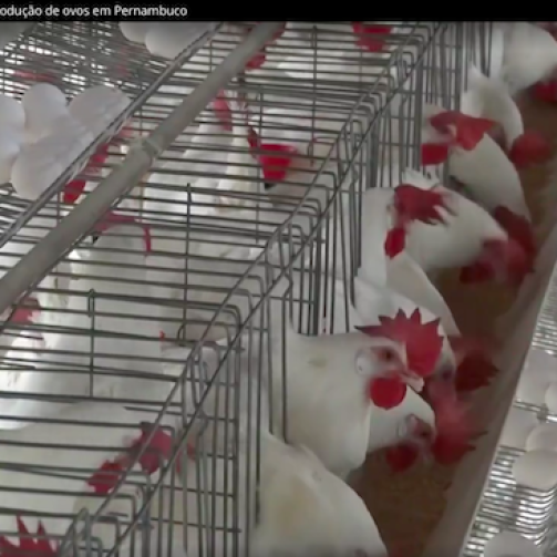 Captura-de-Tela-2021-04-13-às-10.25.39