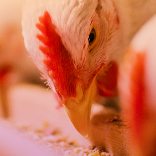 08152019_01_abertura_post