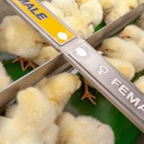 H114257-F00000-Y992-400x200