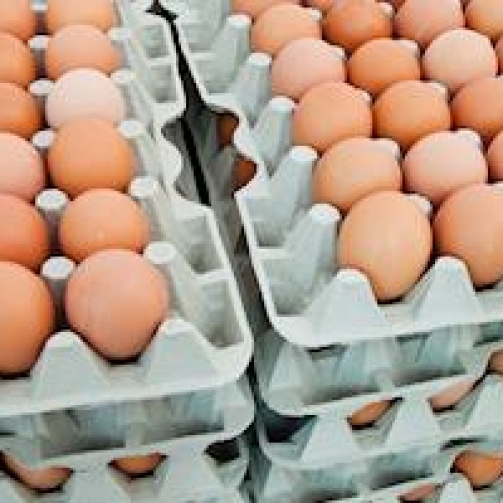 H145807-F00000-H204-400x200