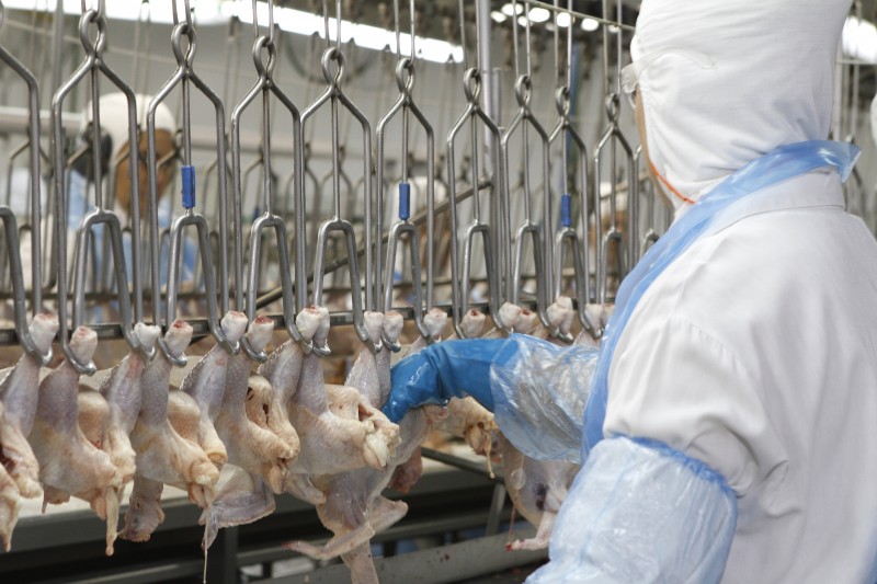 frango-384495